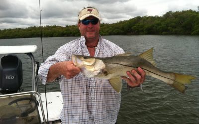 crazy snook