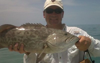Gag Grouper