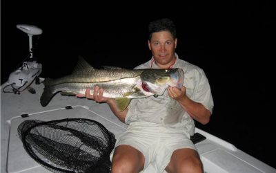 snook@night