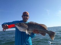 Gag Grouper