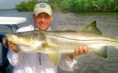 Snook