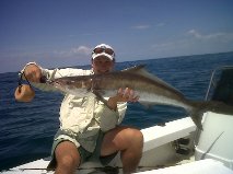 Cobia
