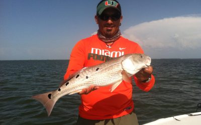 Redfish