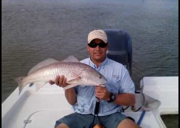 Redfish