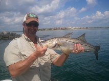 Snook