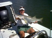 Snook