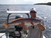 Southwest Florida Redfish Action