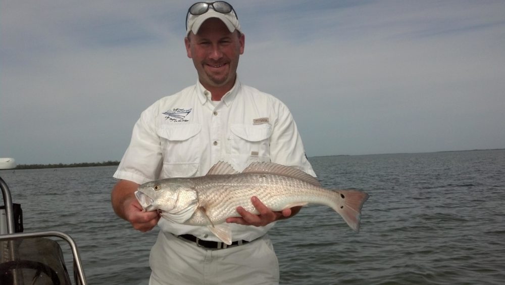 Time to “walk the dog”