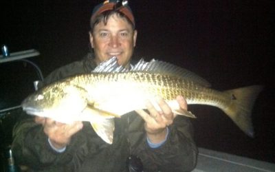 Redfish