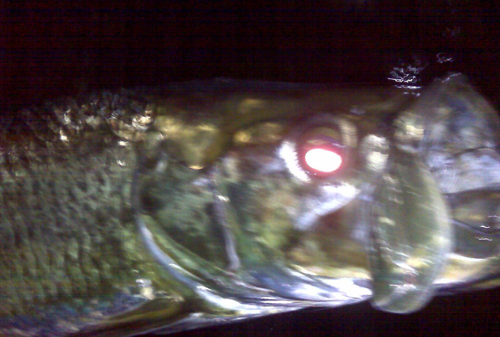 Brutal winds for the keys