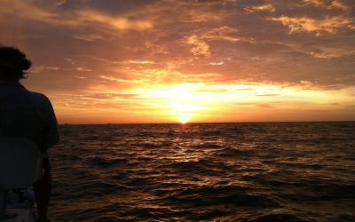 Boca Grande Tarpon