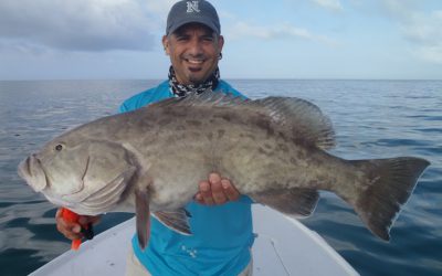 Grouper getting