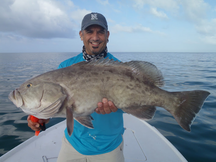 Grouper getting