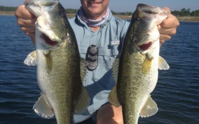 Bass