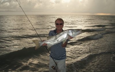 Big Snook! When?