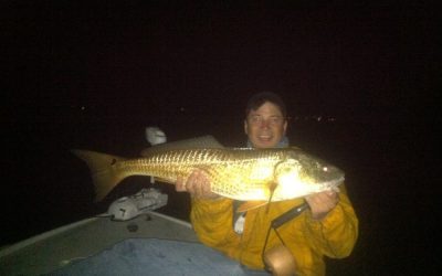 Redfish