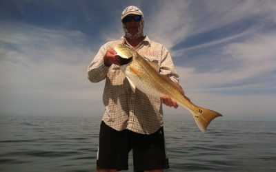 Redfish