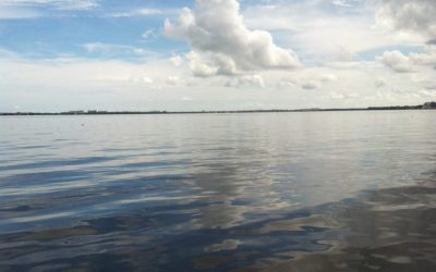 Calm days offer options