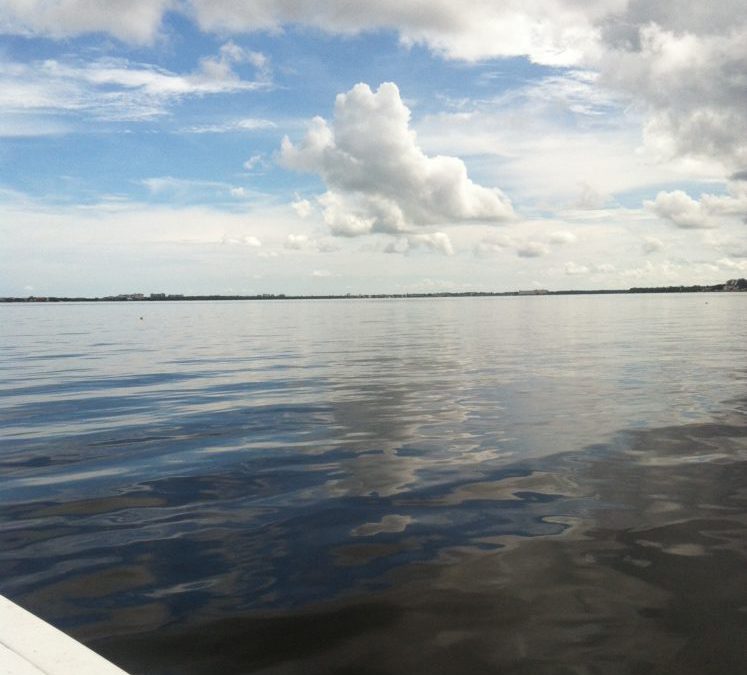 Calm days offer options