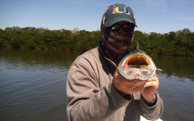 February fishing forecast