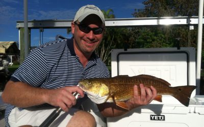 What to fish for
