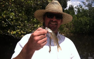Baby Snook