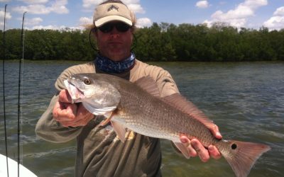 redfish