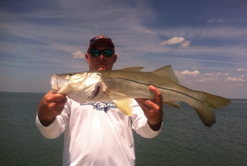 Snook fishing beaches
