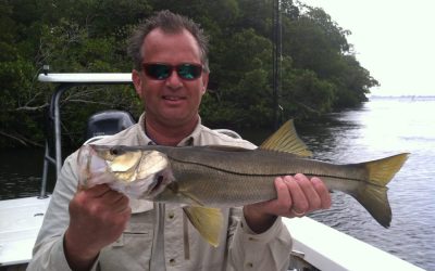 Snook