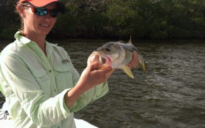 Snook fishing is Full speed