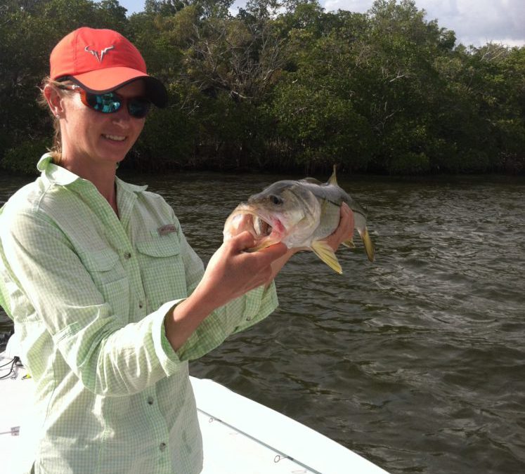 Snook fishing is Full speed