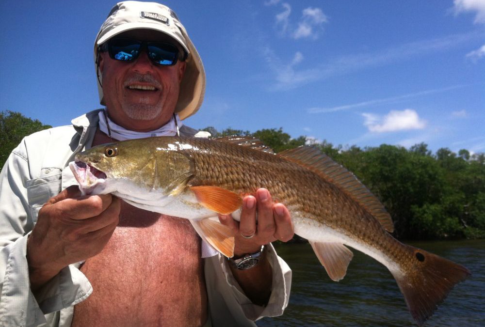 Redfish report