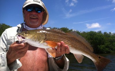 Redfish report