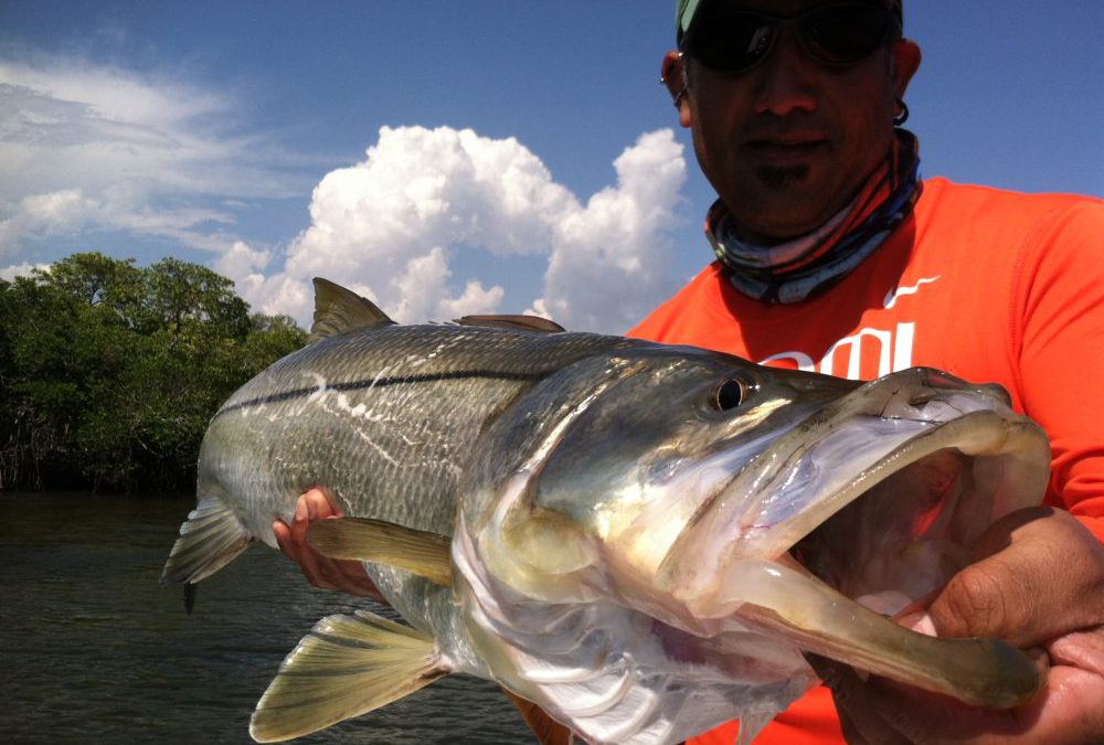 Snook Rigging