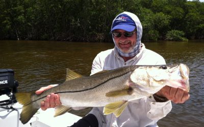 Snook