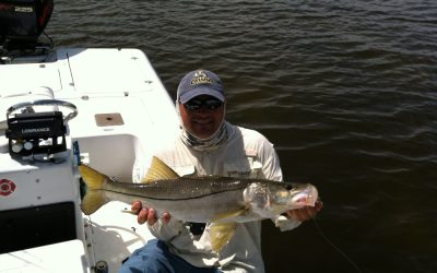 Snook
