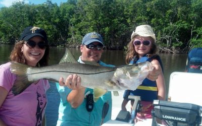 Snook