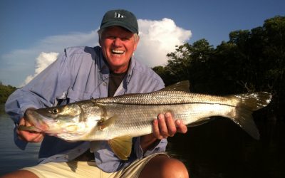 Snook Bite Report