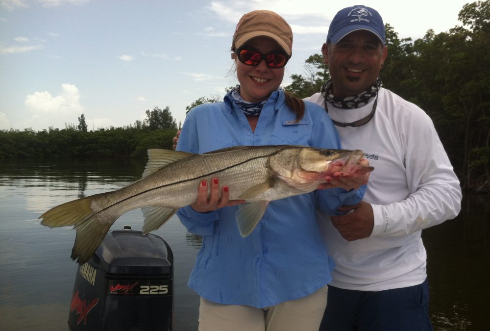 Snook report