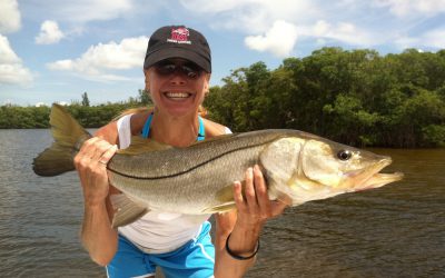 Snook
