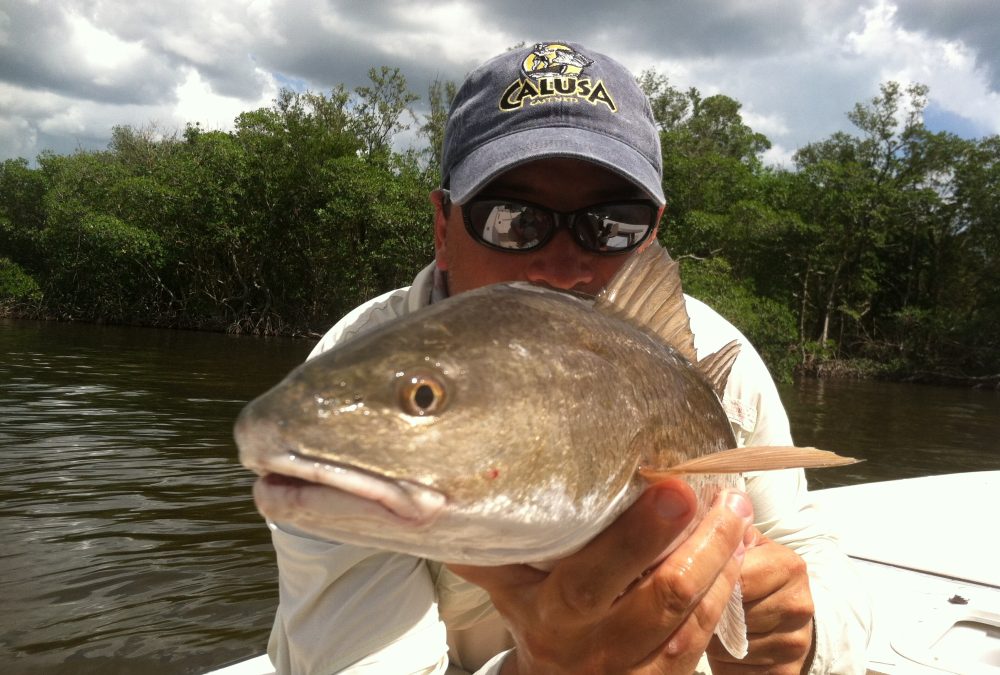 Redfish in dirty water