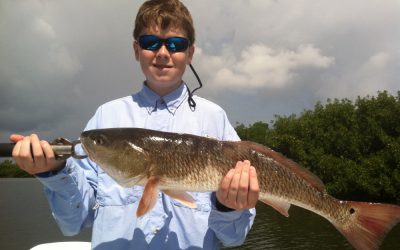 Redfish