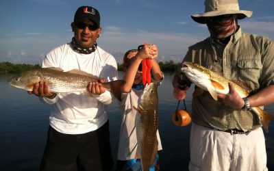 Redfish