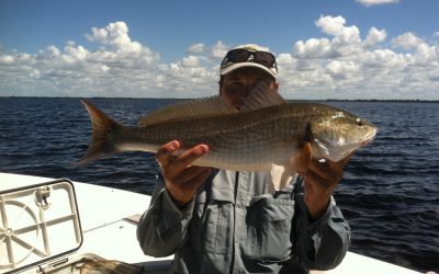 Redfish