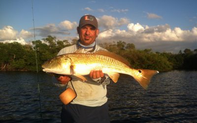 Redfish