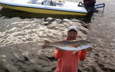 Redfish