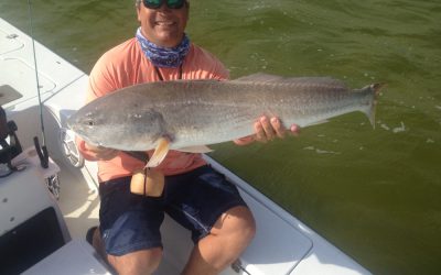 Redfish