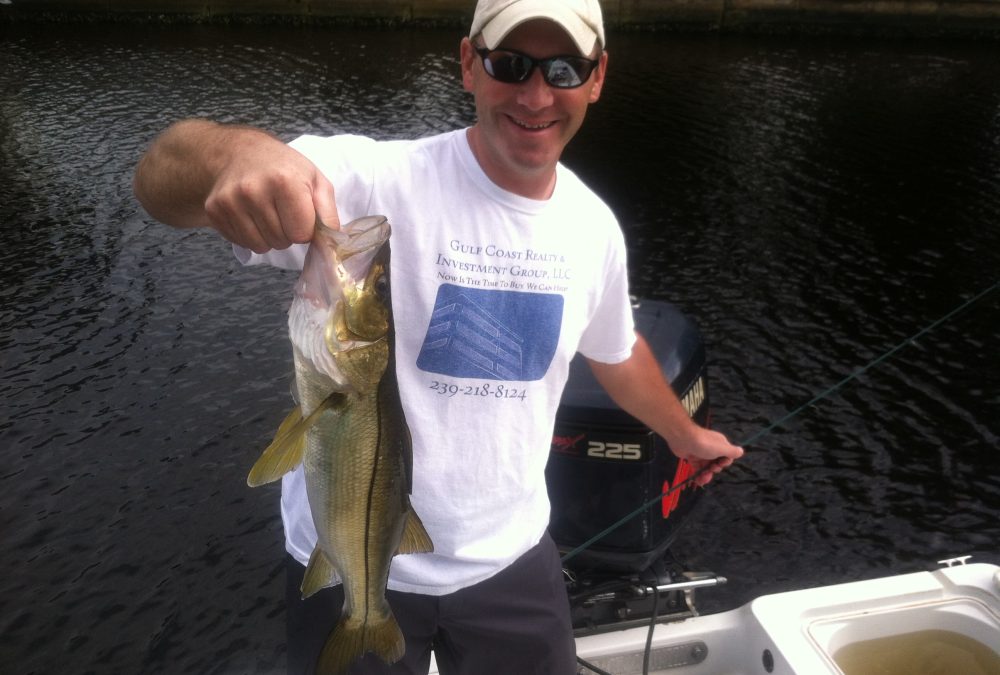 Snook