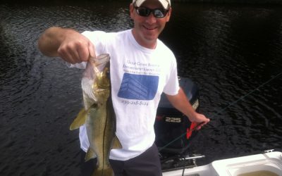 Snook