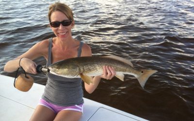 Redfish